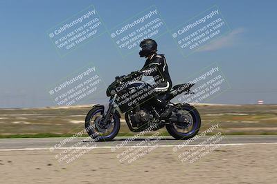 media/Mar-24-2025-2WTD (Mon) [[55b4b08488]]/C Group/1240pm (Wheelie Bump)/